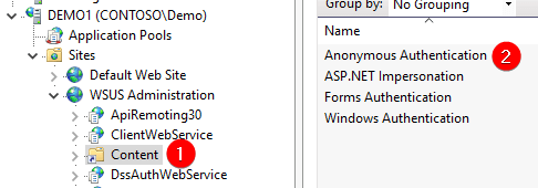 Check Anonymous Authentication WSUS