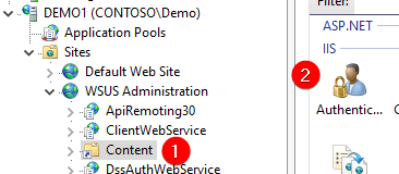 Click Anonymous Authentication WSUS