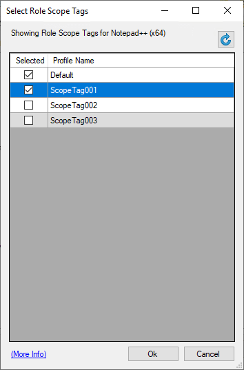 Manage Role Scope Tag Form