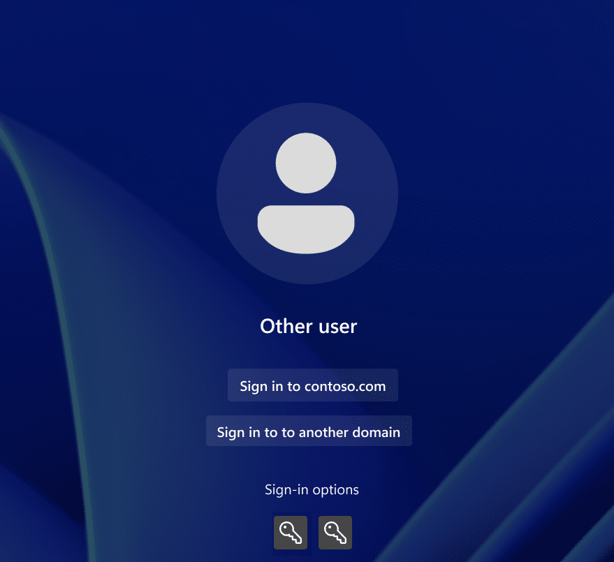 the windows login screen only showing the two password credential providers and not the web sign-in