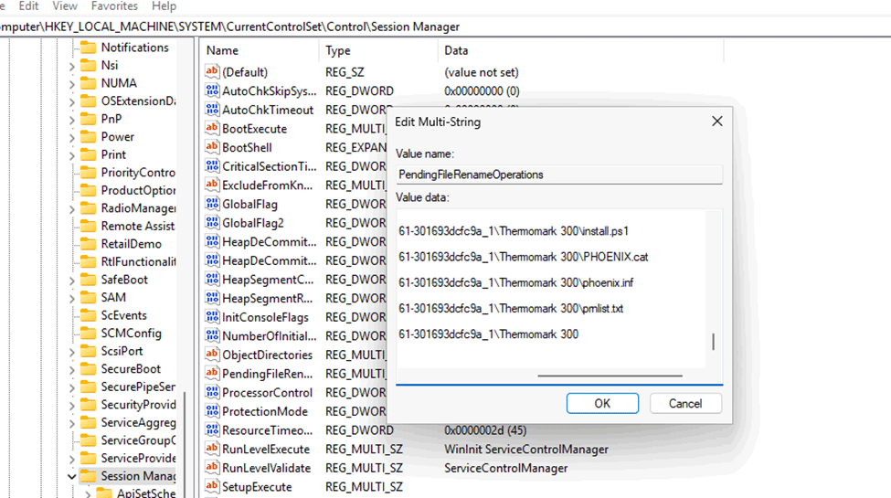PendingFileRenameOperations hold the old imecache folders that should be getting deleted after reboot