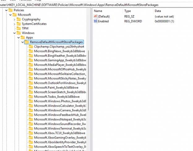 registry policy HKLM\SOFTWARE\Policies\Microsoft\Windows\Appx\RemoveDefaultMicrosoftStorePackages 