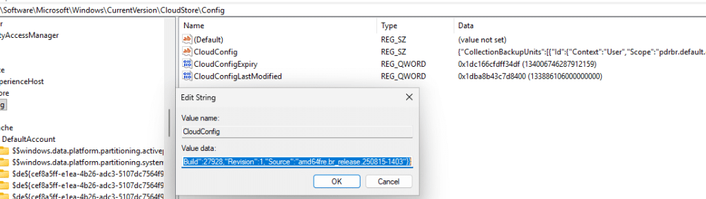 the cloud store windows backup details