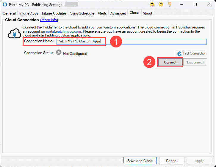 Entering a "Connection Name" and clicking "Connect"