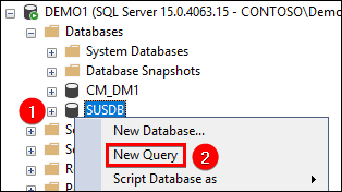 New Query SUSDB in SQL Management Studio