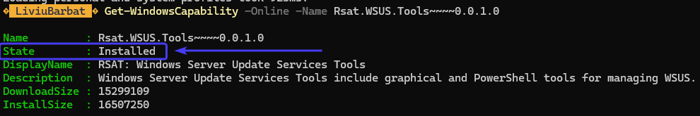 Check if WSUS RSAT Tools installed successfully