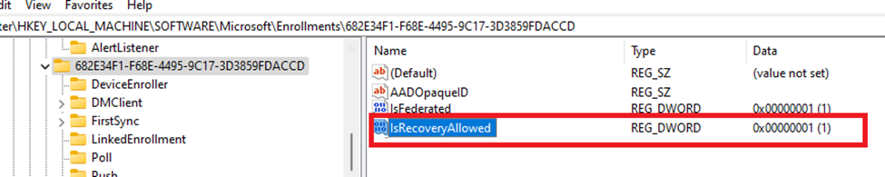 IsRecoverAllowed in the registery