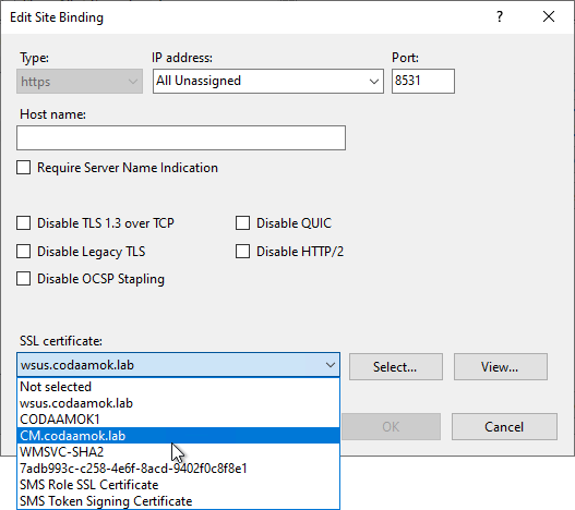 A screenshot of the certificate selection in IIS website binding