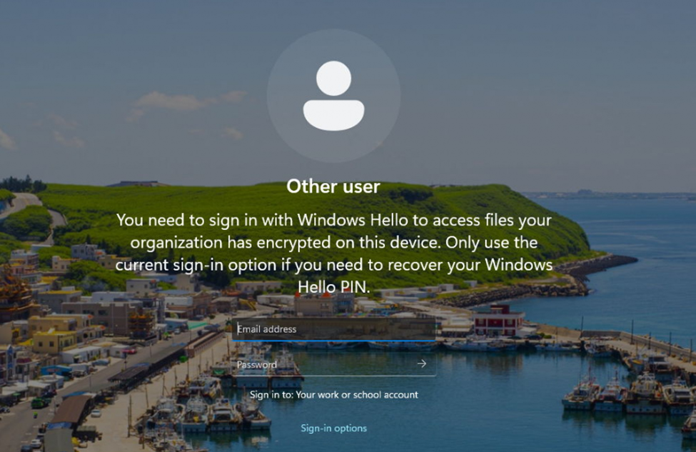 you need to sign in with windows hello to access files your organization has encrypted on this device