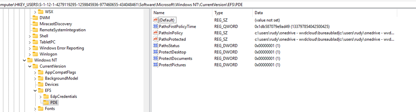 the registry showing us the pathsinpolicy and pathsprotected registry values