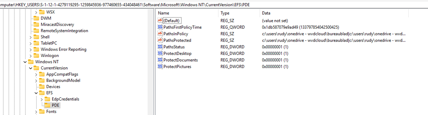 the registry shows the protected folders by personal data encryption