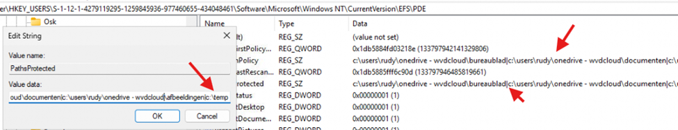 adding the c:\temp folder as personal data encryption folder