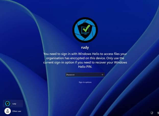 You need to sign in with Windows Hello to access files your organisation has encrypted on this device. Only use the current sign-in option if you need to recover your Windows Hello PIN